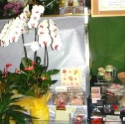 「花治商店」　（滋賀県大津市）の花屋店舗写真2